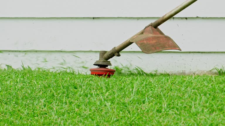 Lawn Irrigation Installation and Maintenance in Italy, TX